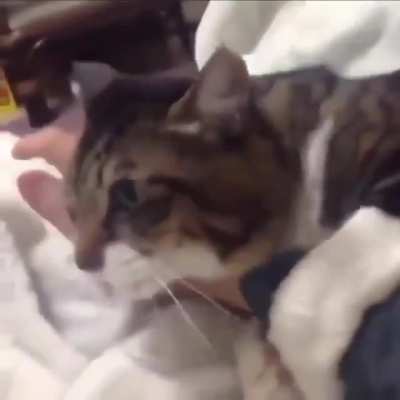 LET ME LOVE YOU !