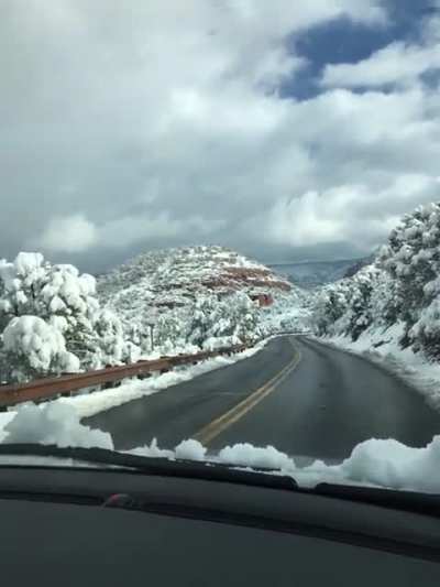 Lets just stop on this slippery road and take pictures, genius!