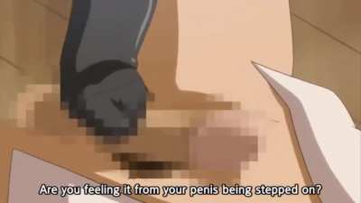 Femdom Footjob GIF by salad64