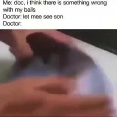 balls