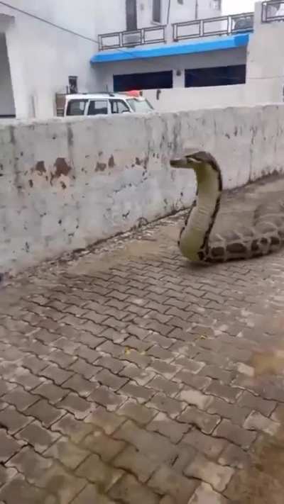 Vai mesmo..