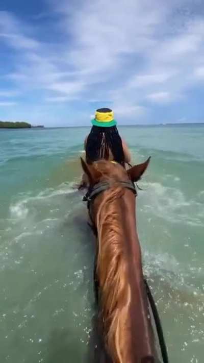 The great adventure.