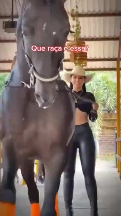 Que ra&ccedil;a &eacute; essa?