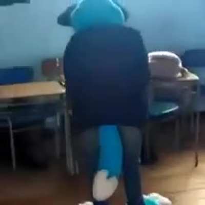 Mira Un Weon Furro