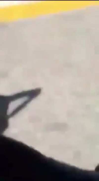 Chihuahua; Gente Nueva (CDS-Chapos) in a shootout with La Linea (New Ju&aacute;rez Cartel)