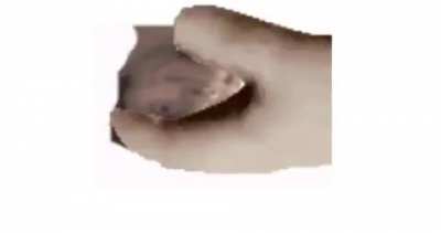 lanatat