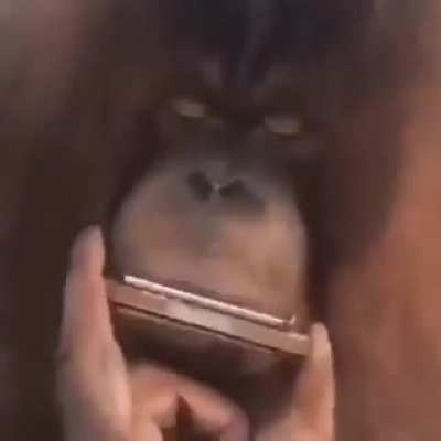 0.o
