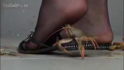 Courtney crawdad
