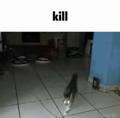 Yep