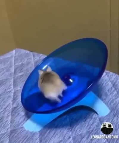 Run