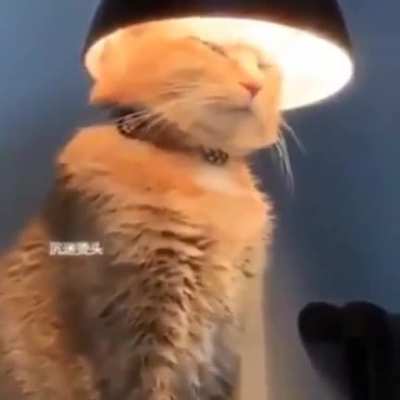 You wouldn&rsquo;t understand a higher being like me