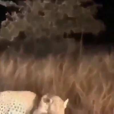Ну что ж, на ошибках учатся...