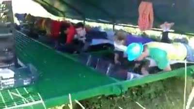 Harvesting Strawberries
