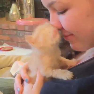 "I love you, human."
