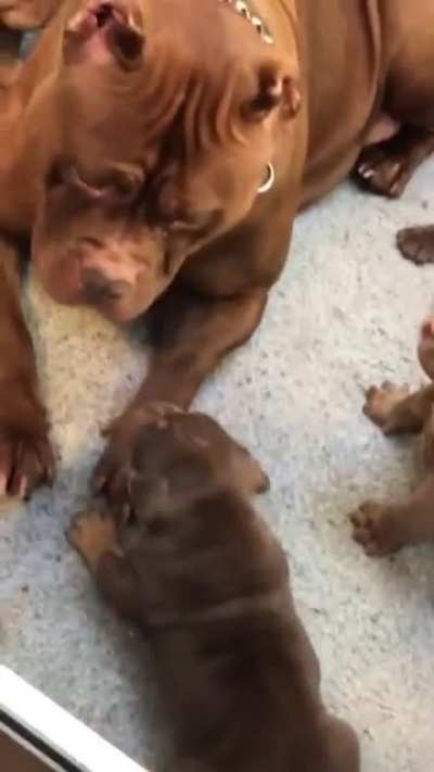 Mamma Loves You!!