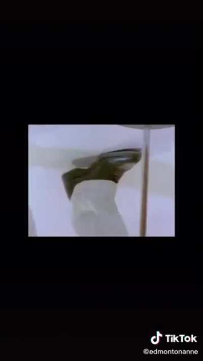 That optical illusion doe