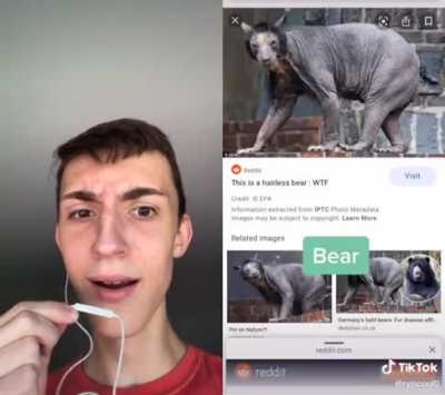 It fits the sub