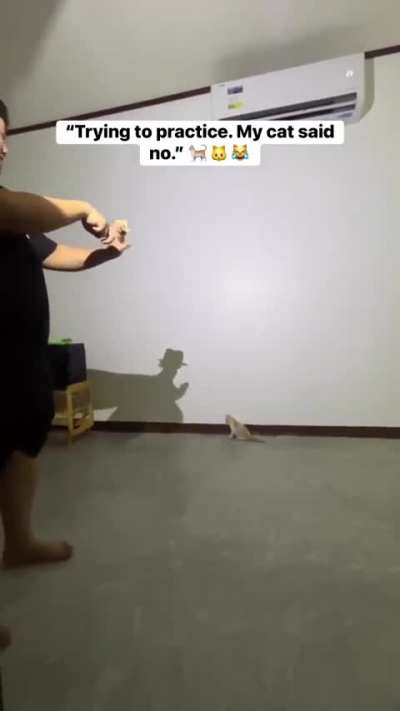 C@ tries to destroy virtual Objects