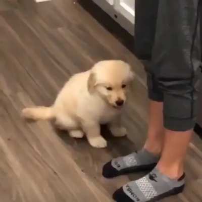 Won&rsquo;t leave you until I&rsquo;m Kissed