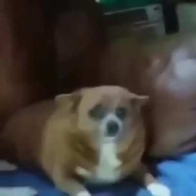 Blursed_