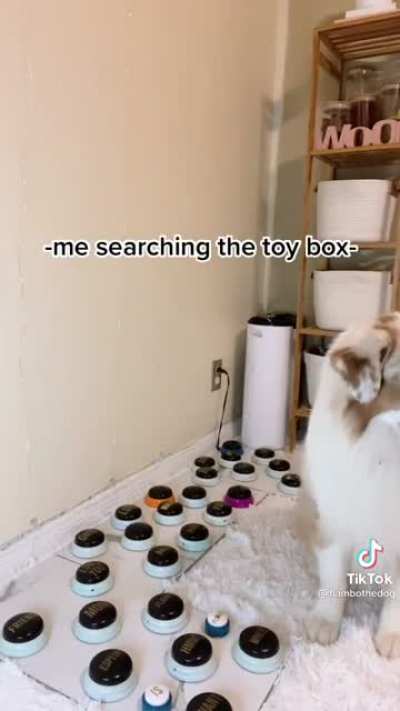Ball where?