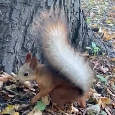 Did you just see where I hid those?