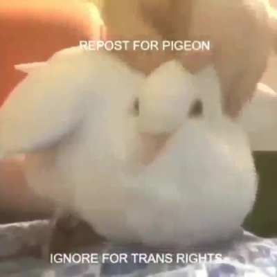 had to do it