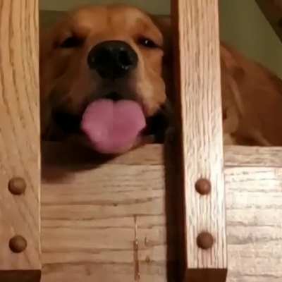 Gimme some of that
