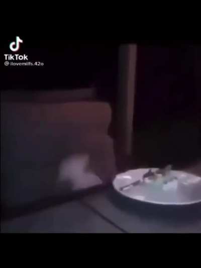 owweeweeewo