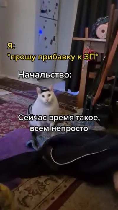 Когда работаешь по 48 часов в сутки...
