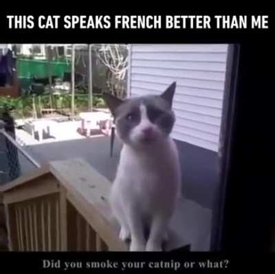 "Human!"