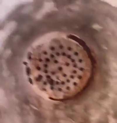 I fucking hated those