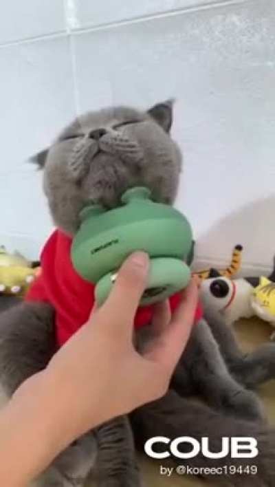 Котэ
