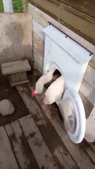 Always remember to empty all pockets when putting on laundry