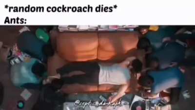 LOL!
