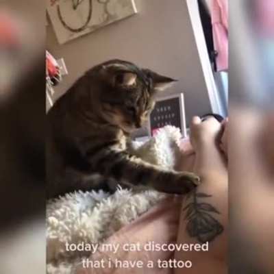 &lsquo;I am confused...&rsquo;