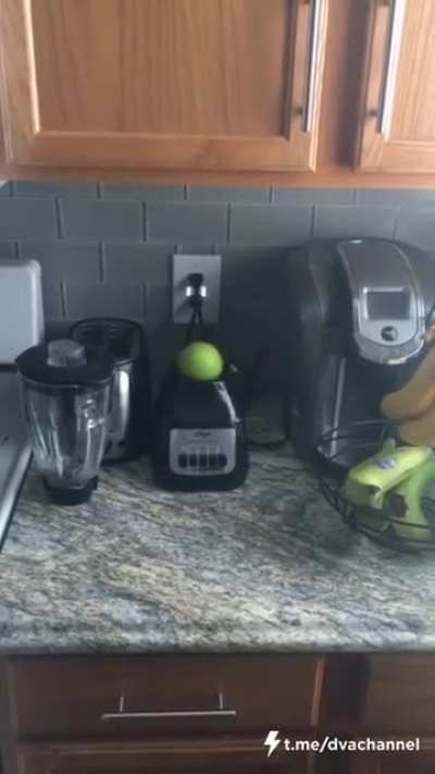 When your mom leaves and you decide to try and cook something for the first time
