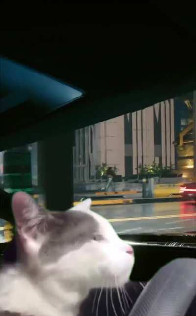 Me immersing myself in Night City by going for a peaceful night drive in first person whilst listening to "IRWTSAYH"