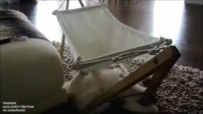 Cat just about gets in...