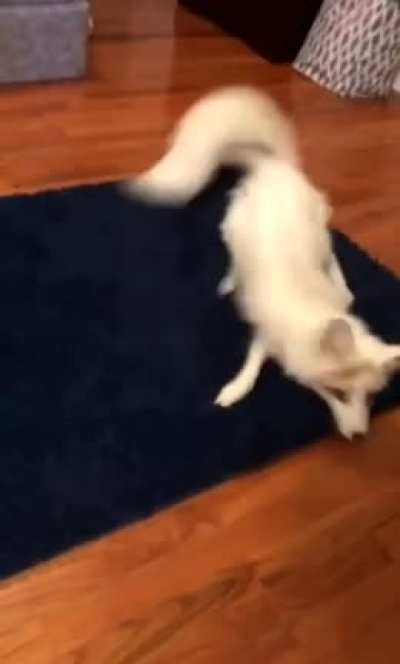 Melee Fox
