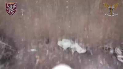 Ukrainian drone operator blows up a Russian soldiers head.