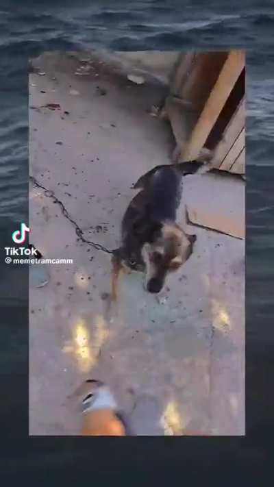 AAAAAAAA
