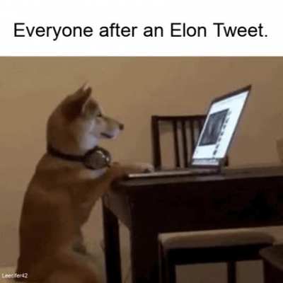 He musk've known what he was doing