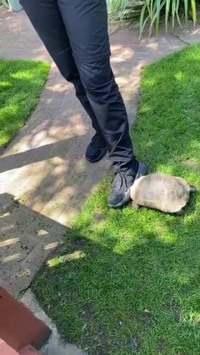 Some animals are just jerks&hellip;