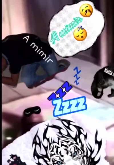 Sonin bom