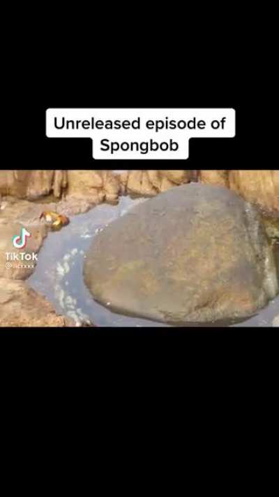 Squidward&rsquo;s had it with Krabs