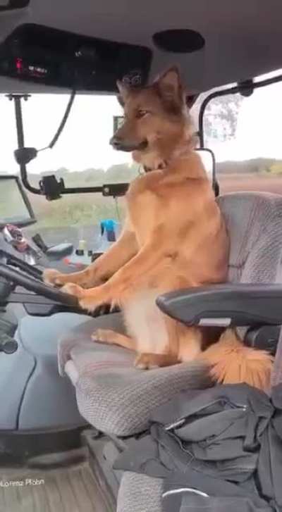 He knows what he's doing.