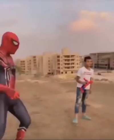 Egyptian Zbaydarman