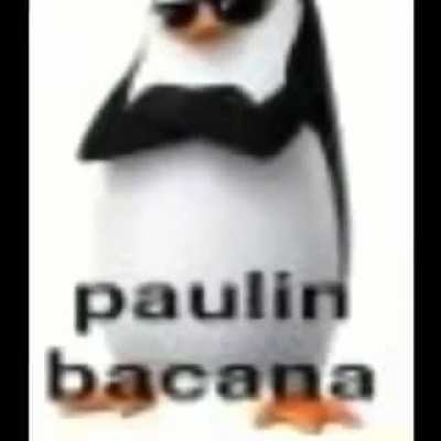 Paulin bacana😎