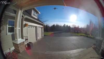 "Motion at the front door."